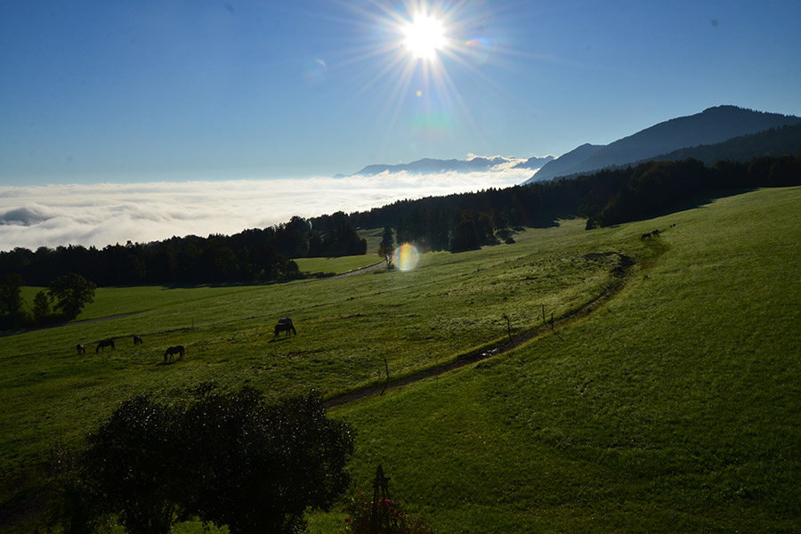 Landschaft um den Hof Rossruck