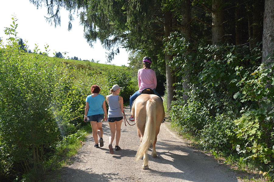 Reiten auf der Reitanlage in Fischbachau