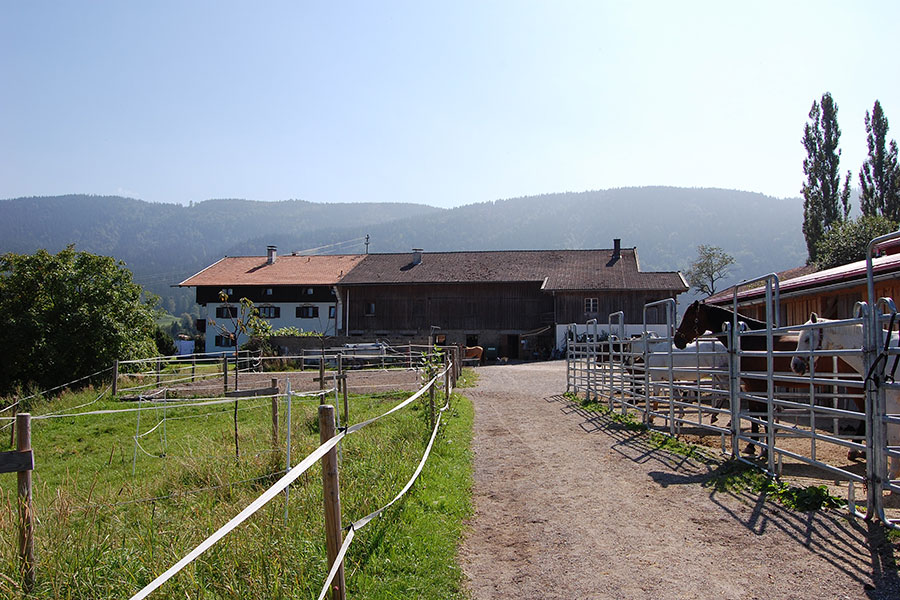 hof-rossruck-fischbachau-stall-1 Milchviehbetrieb zur Pferdepension
